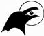 Raven's Eye Design
