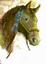 Lisa's ART & Horses