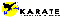 Provided by Action Karate, Maybrook 