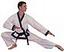 Provided by Action Karate, Maybrook 
