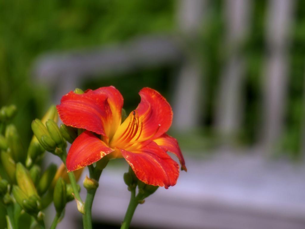 View the entire photo gallery for Laura's Lens Photography
