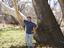 Provided by Soil Secrets LLC, Los Lunas 