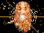 Provided by Psychic and Spellcaster, Aston 