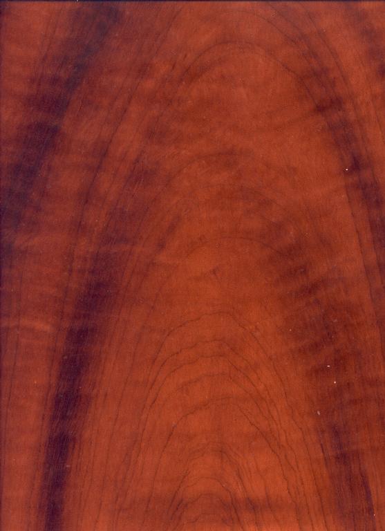 Faux Mahogany Woodgraining Technique PaintNStain Inc. in Livonia