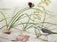 ROSEMARY_STUART_FL5.jpg