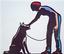 GOOD DOG!  PUPPY AND DOG OBEDIENCE TRAINING