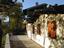 Casale