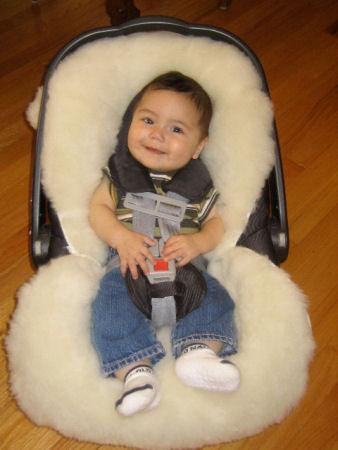 infant and car seat and cover