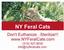 Provided by NY Feral Cats, Cassville 