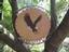 Provided by Leather Creations, Hendersonville 