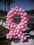 Provided by MR BALLOONS, Lemoore 