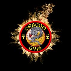 Dragon Gym - Hockessin, DE