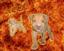 a barking space