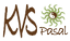 KVS Pasal