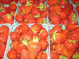 Fifer Orchards - Rehoboth Beach, DE