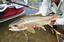 Rock Creek Anglers
