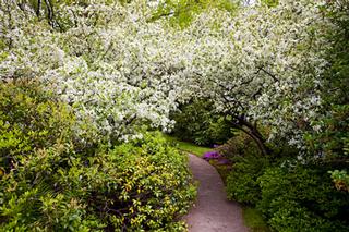 Katahdin Photo Gallery - Bar Harbor, ME
