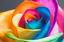 Fresh Flower Fantasy