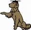 Leona Ponds Dog Training