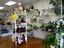 Divine Flowers & Gifts