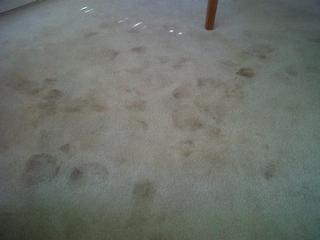 Heavily soiled carpet