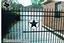 Pasadena Fence