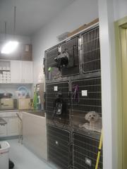 Feather & Fur Clinic - Kailua, HI