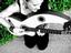 Stephanie Jackson Guitarist