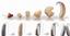 Affordable Hearing Aid Center