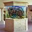 Provided by Exotic Aquatic Mobile Aquarium Service, Salem 