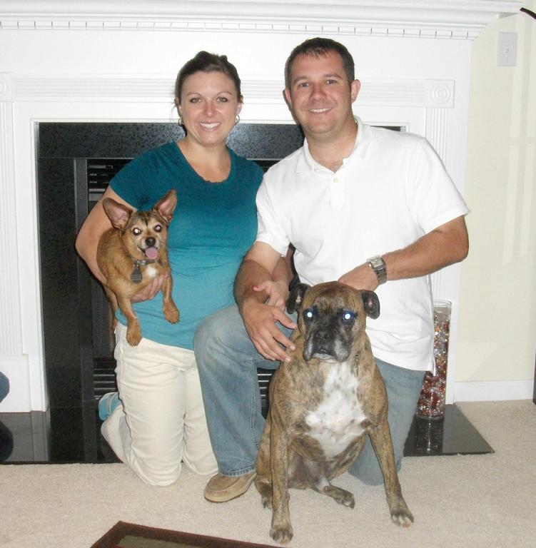 Bark Busters Home Dog Training Greenville Sc Greenville Sc Bark Busters Home Dog Training Greenville Sc Greenville Sc