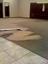 Revived Carpet and Ulpholstery Cleaning