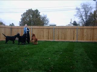 Click to view The Dog House - Boise photo gallery