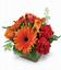 Falula's Maple Grove Floral