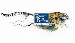Brown & Brown Insurance - Mankato, MN