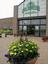 Drummers Garden Center & Floral