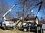 Provided by Evergreen Tree Service, Powell 