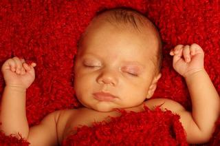 Cutie Patootie Llc - Kearny, NJ