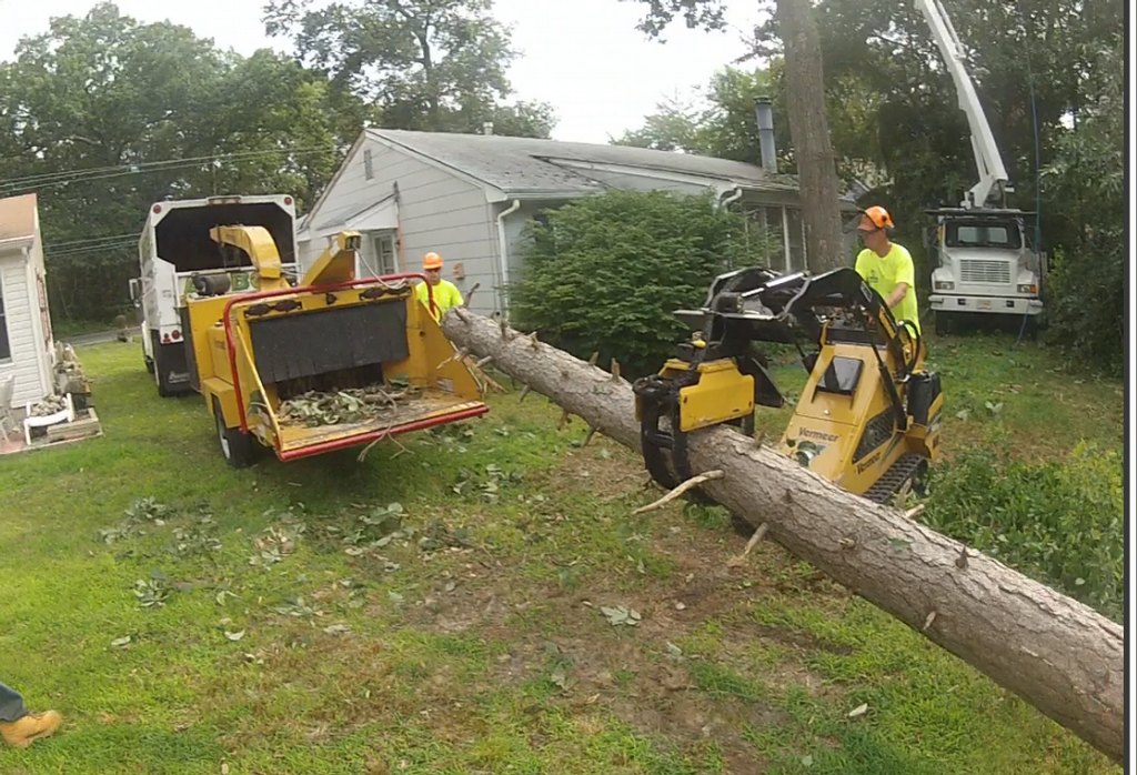 woodchipperandminiskidsteer from Arbor Tree Experts in Jackson, NJ