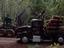 Provided by Melcher Logging Co Garage, Bingham 