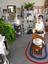 One Horse Shay Antiques