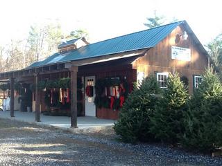 balsam ridge christmas tree farm maple producer balsam ridge christmas tree farm maple producer