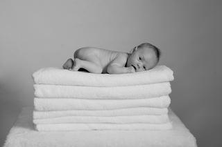 Lasting Impressions Photo - Clarkesville, GA