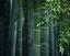 Provided by The Peace Within Massage Therapy, Charlotte 