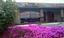 Orchid Beauty & Spa