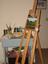 Provided by Creations by Spirit LLC, Rochester 
