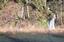 Provided by City of Molalla, Molalla 