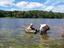 Provided by Acme Dam Fishing  L.L.C., Acme 
