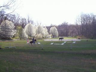 2011 Spring Lessons by Cedar Ridge Farm - Children's Horseback Riding Lessons Greenville 47124 