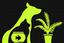 Peace of Mind Pet & Plant Sitting